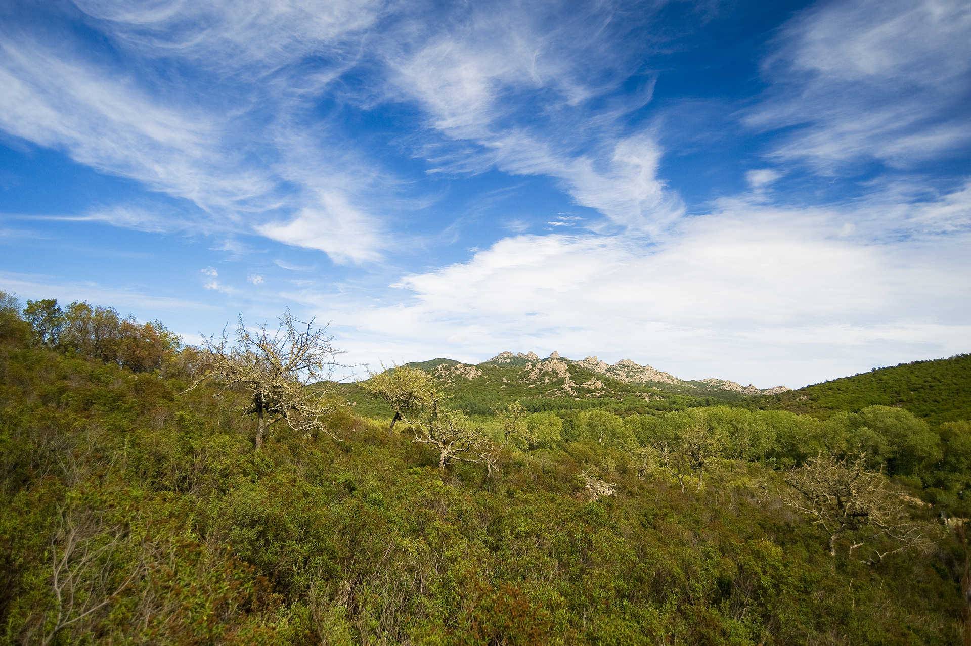 descrizione immagine